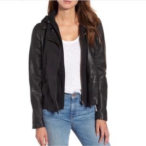 New Caslon Leather Moto Jacket with Removable Hood, Size XS